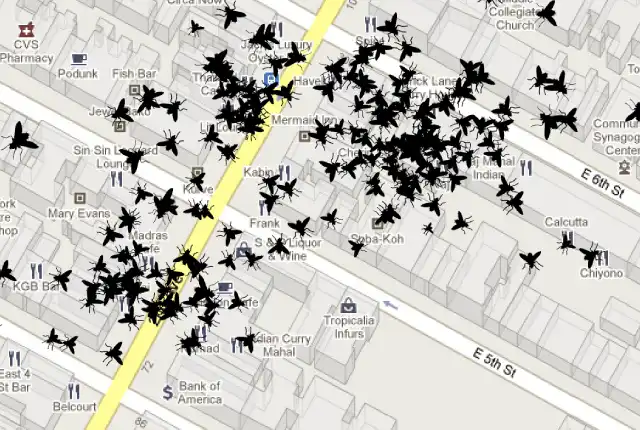 Predicted Fly Behavior Based on Restaurant Health Inspection Scores in the East Village